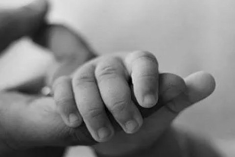 TRIBUNAL ELECTORAL DEPARTAMENTAL DE TARIJA